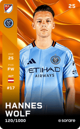 Hannes Wolf - limited