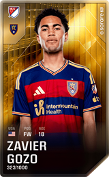 Zavier Gozo - limited