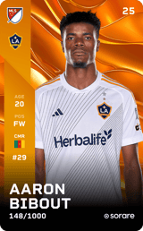 Aaron Bibout - limited