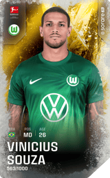 Vinicius Souza - limited