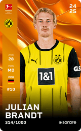 Julian Brandt - limited