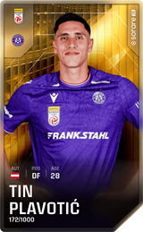 Tin Plavotić - limited