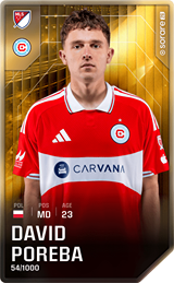 Dawid Poręba - limited