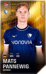 Mats Pannewig - limited