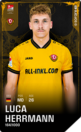 Luca Herrmann - limited