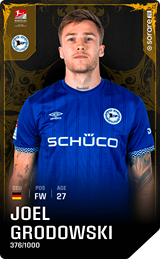 Joel Grodowski - limited