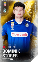 Dominik Stöger - limited