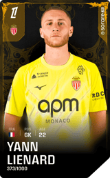 Yann Lienard - limited