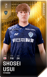 Shosei Usui - limited