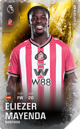 Eliezer Mayenda - limited