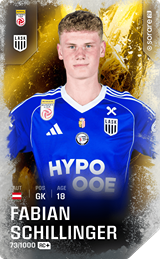 Fabian Schillinger - limited