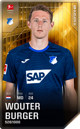 Wouter Burger - limited