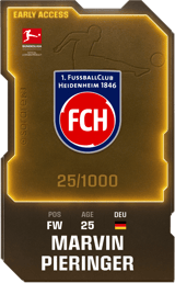 Marvin Pieringer - limited