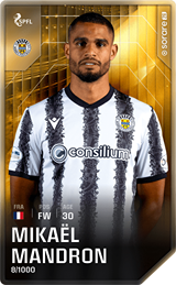 Mikaël Mandron - limited
