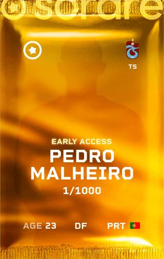 Pedro Malheiro