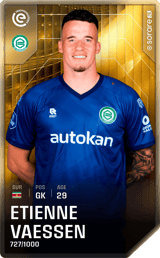 Etienne Vaessen - limited