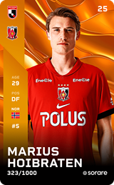 MARIUS HOIBRATEN - limited