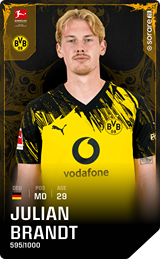 Julian Brandt - limited