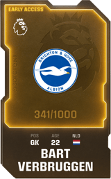 Bart Verbruggen - limited