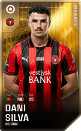 Dani Silva - limited