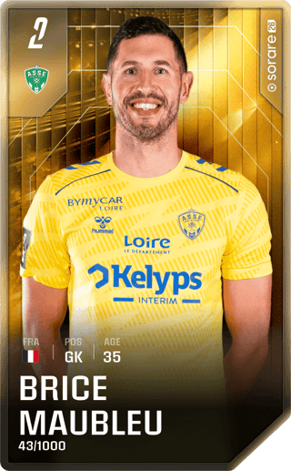 Brice Maubleu - limited