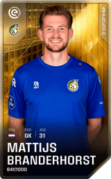 Mattijs Branderhorst - limited