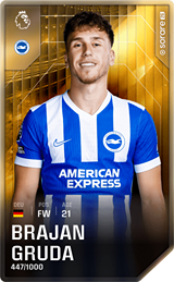 Brajan Gruda - limited