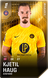 Kjetil Haug - limited