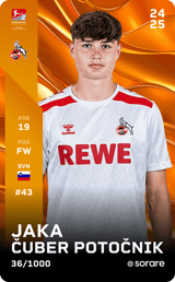 Jaka Čuber Potočnik - limited