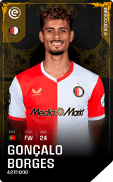 Gonçalo Borges - limited