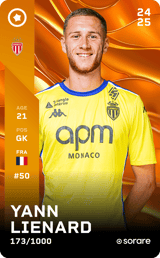 Yann Lienard - limited