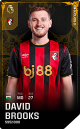 David Brooks - limited