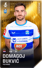 Domagoj Bukvić - limited