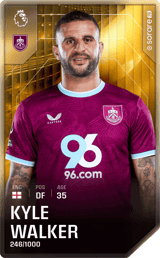 Kyle Walker - limited