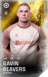 Gavin Beavers - limited