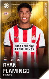 Ryan Flamingo - limited