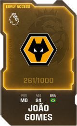 João Gomes - limited