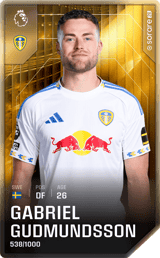 Gabriel Gudmundsson - limited