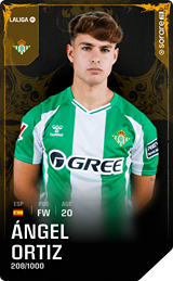 Ángel Ortiz - limited