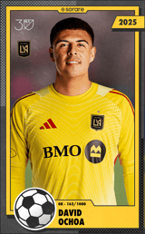 David Ochoa - limited