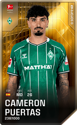 Cameron Puertas - limited