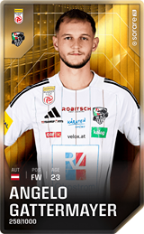 Angelo Gattermayer - limited