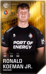 Ronald Koeman - limited