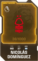 Nicolás Domínguez - limited