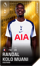 Randal Kolo Muani - limited