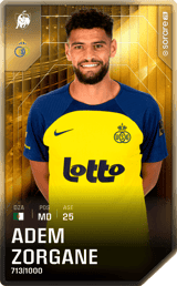 Adem Zorgane - limited