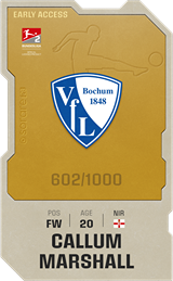 Callum Marshall - limited