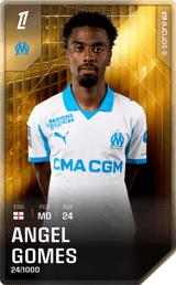 Angel Gomes - limited