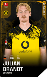 Julian Brandt - limited