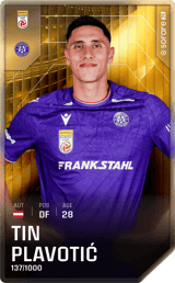 Tin Plavotić - limited